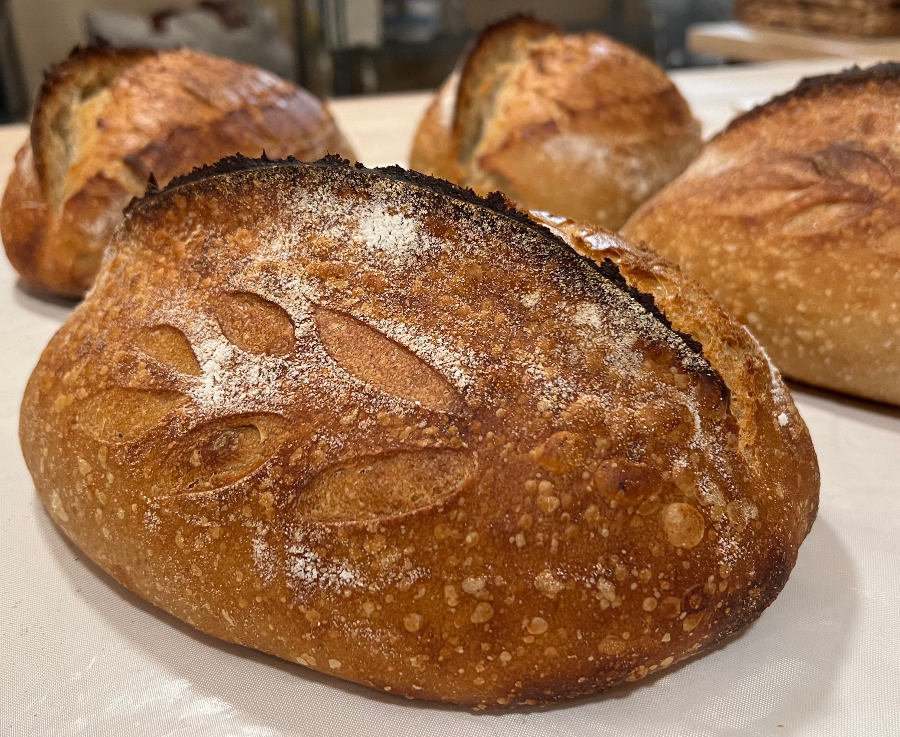 Classic Country Sourdough