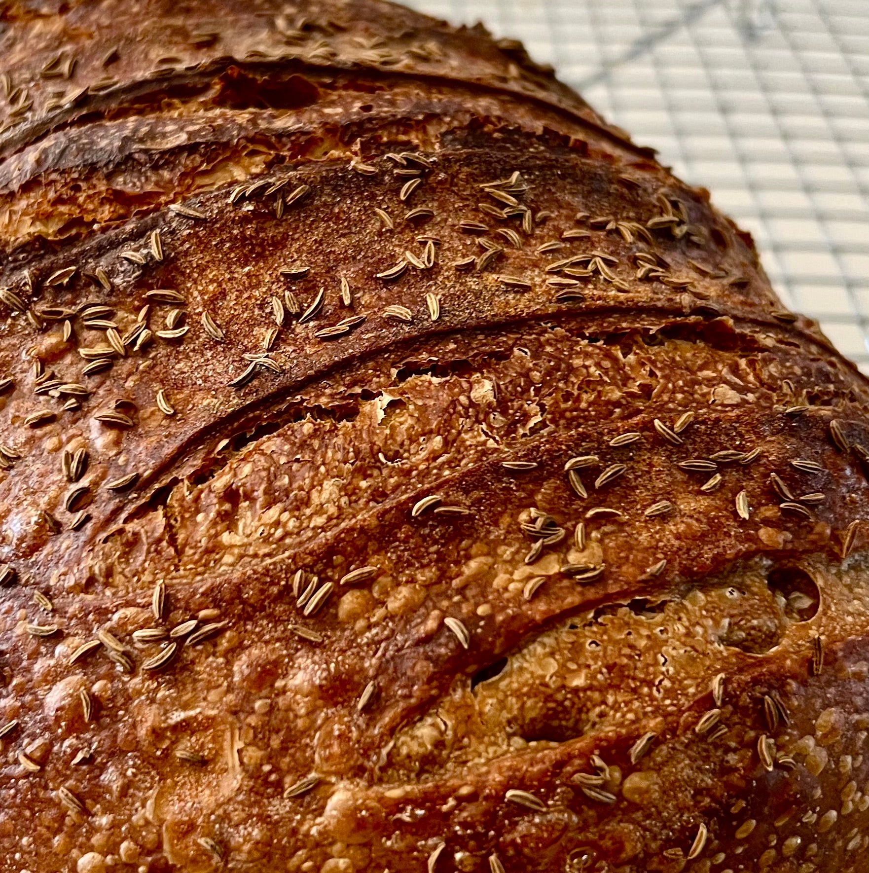 Deli Rye Sourdough
