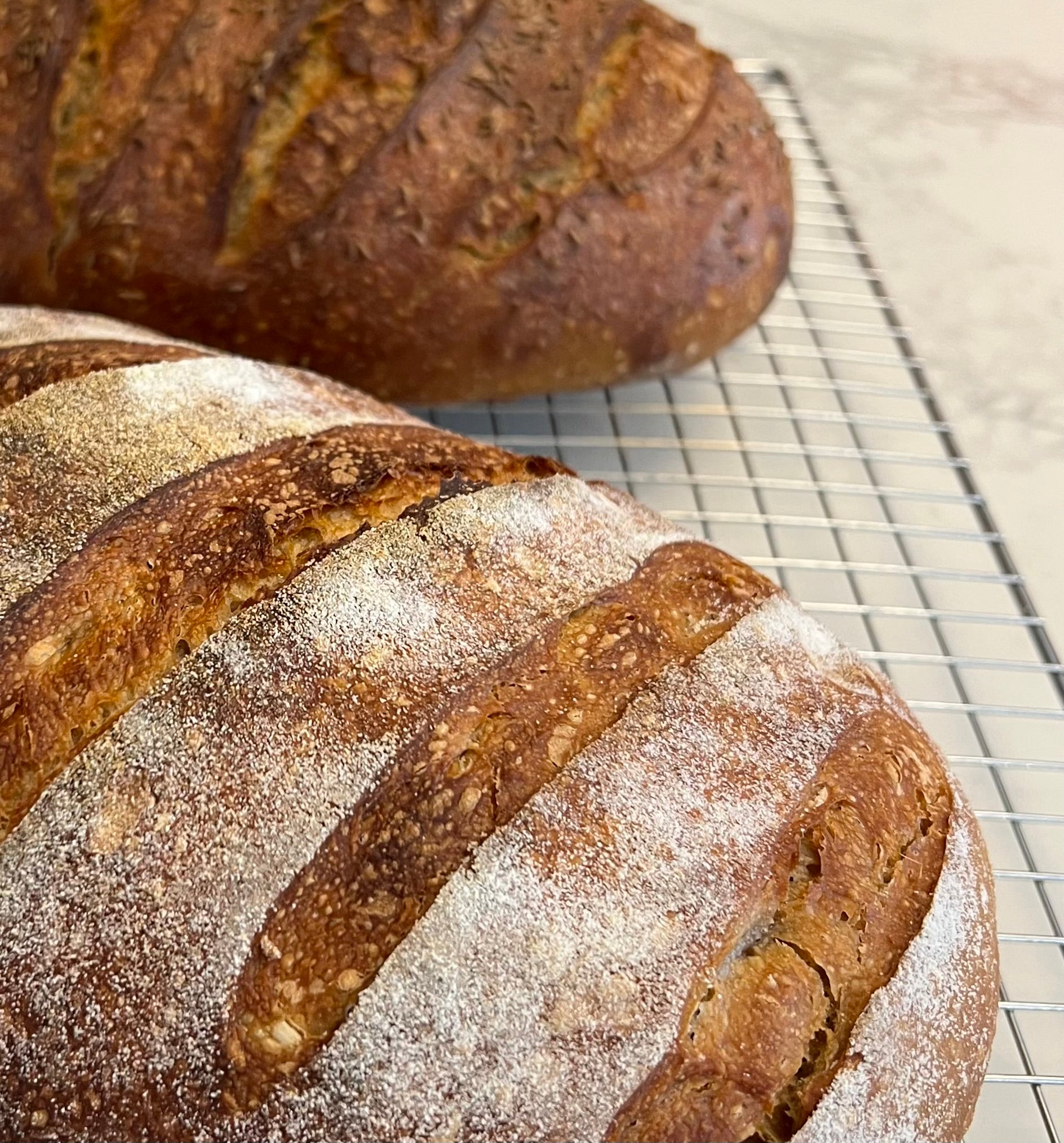 Deli Rye Sourdough